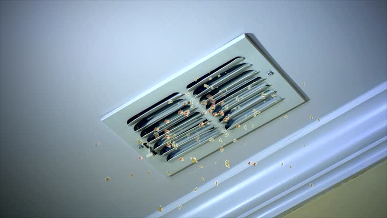 Best Home Air Vent Cleaning  in Hale Center, TX