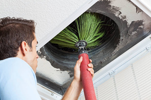 Best Dryer Vent Cleaning Services  in Hale Center, TX