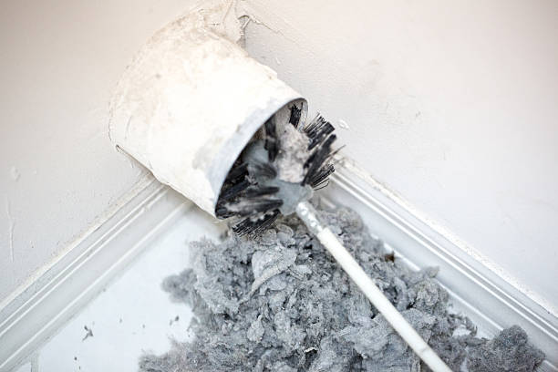 Best HVAC Maintenance and Cleaning  in Hale Center, TX